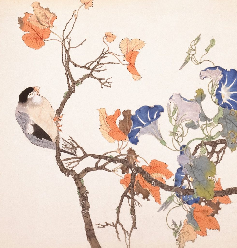A bird rests on a branch with blooming morning glories.